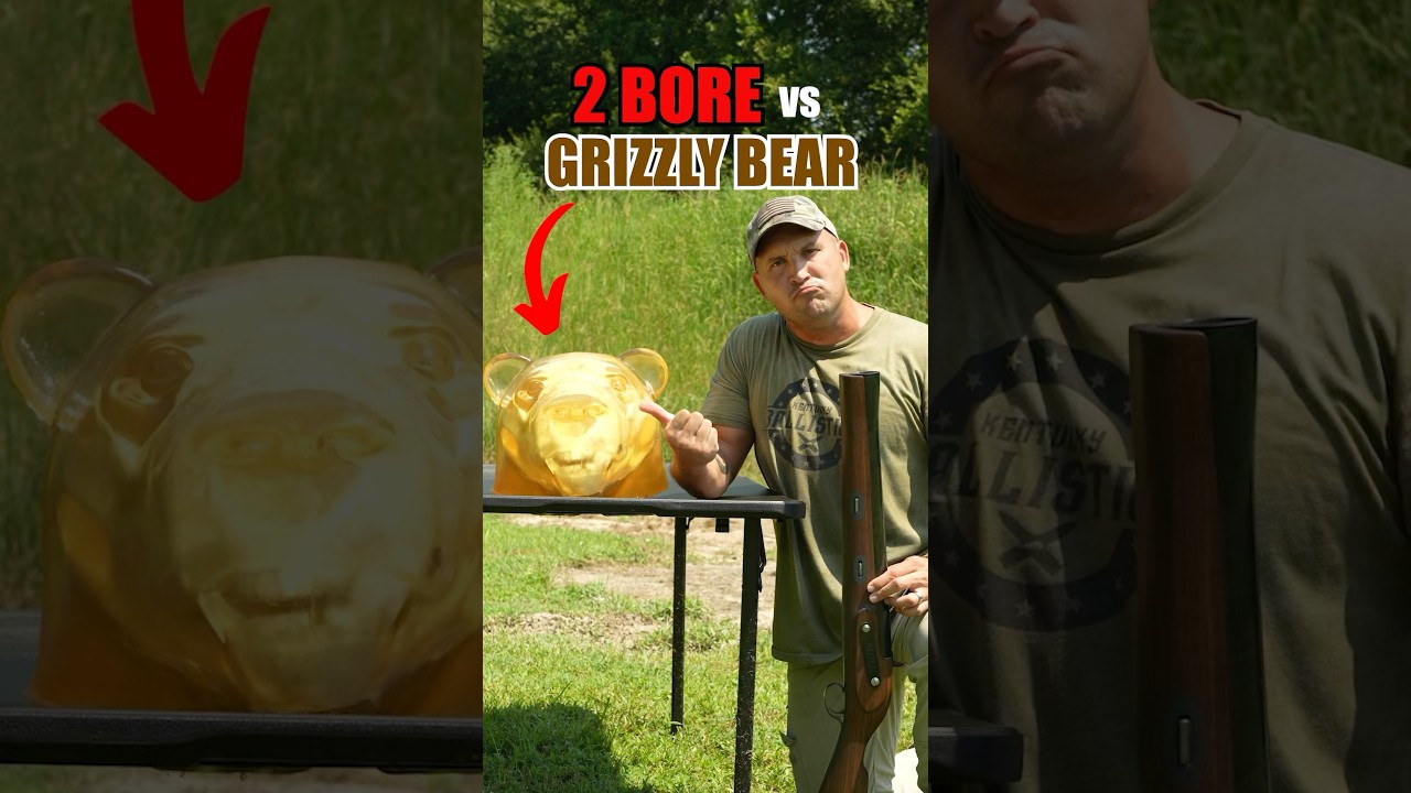 2 BORE vs Grizzly Bear 🐻 #shorts