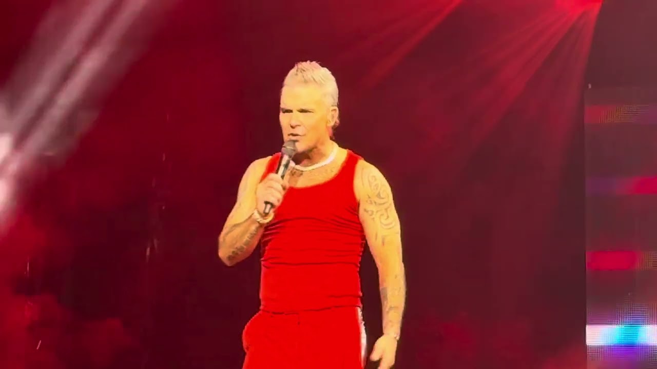 Robbie Williams - I Love My Life