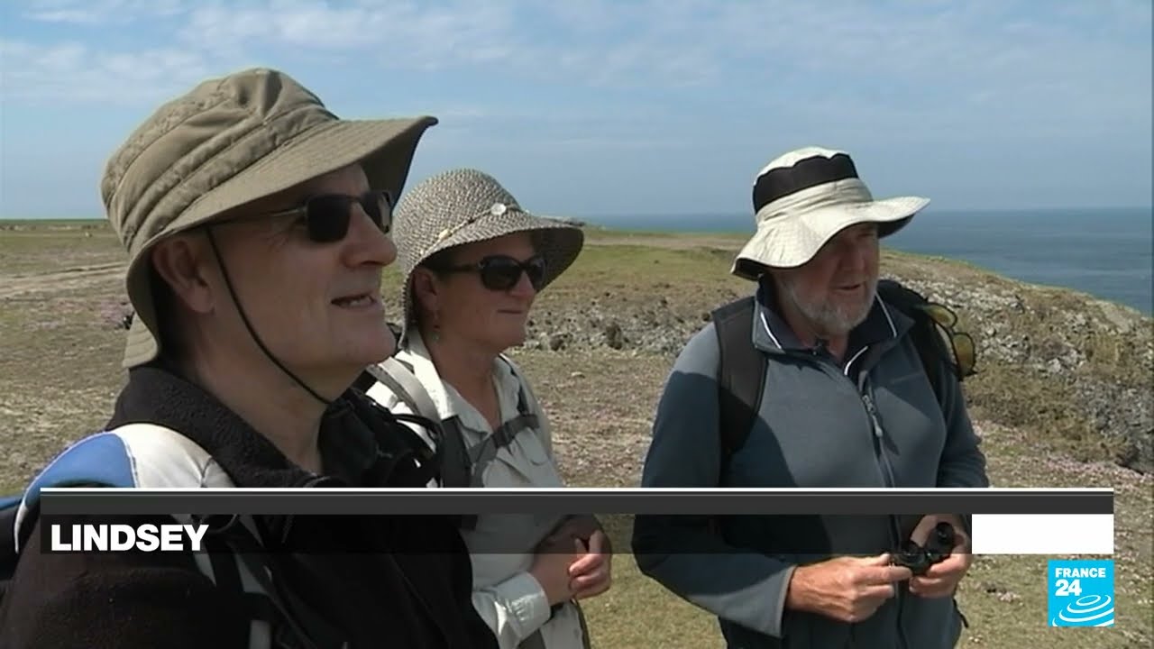 A taste of summer on France's Belle-Île-en-Mer • FRANCE 24 English