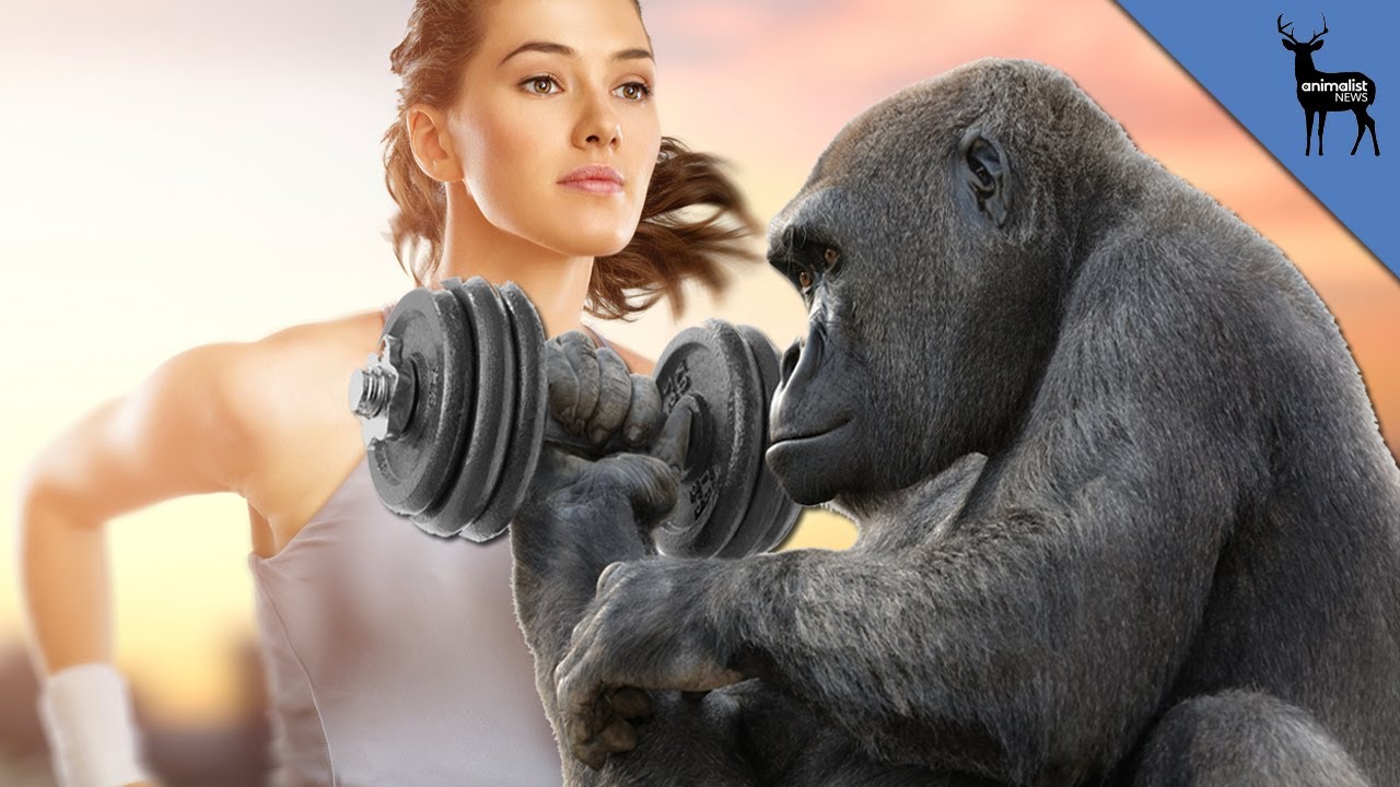 Want to Live Longer? Slow Down Your Metabolism!