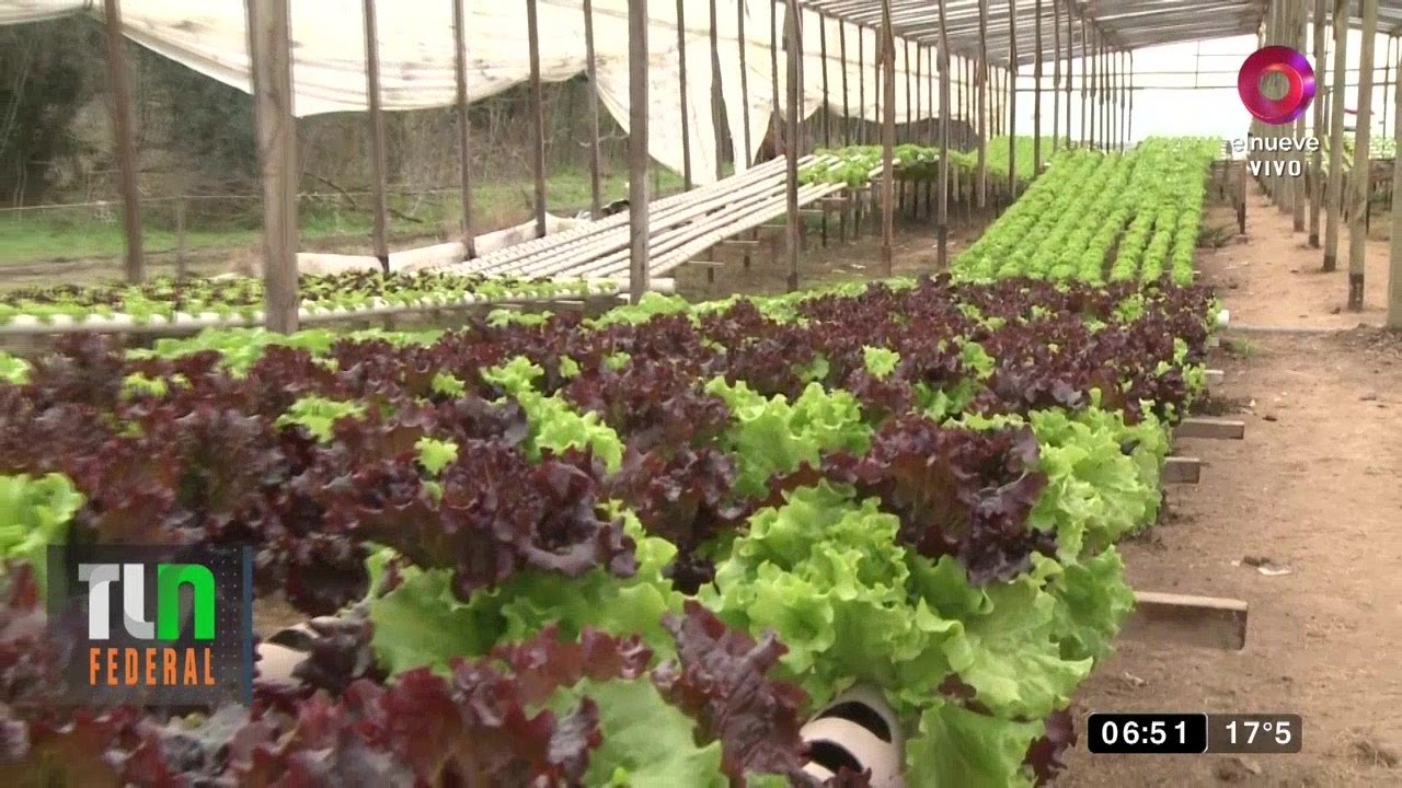 Horticultura argentina: Diversidad de especies y climas