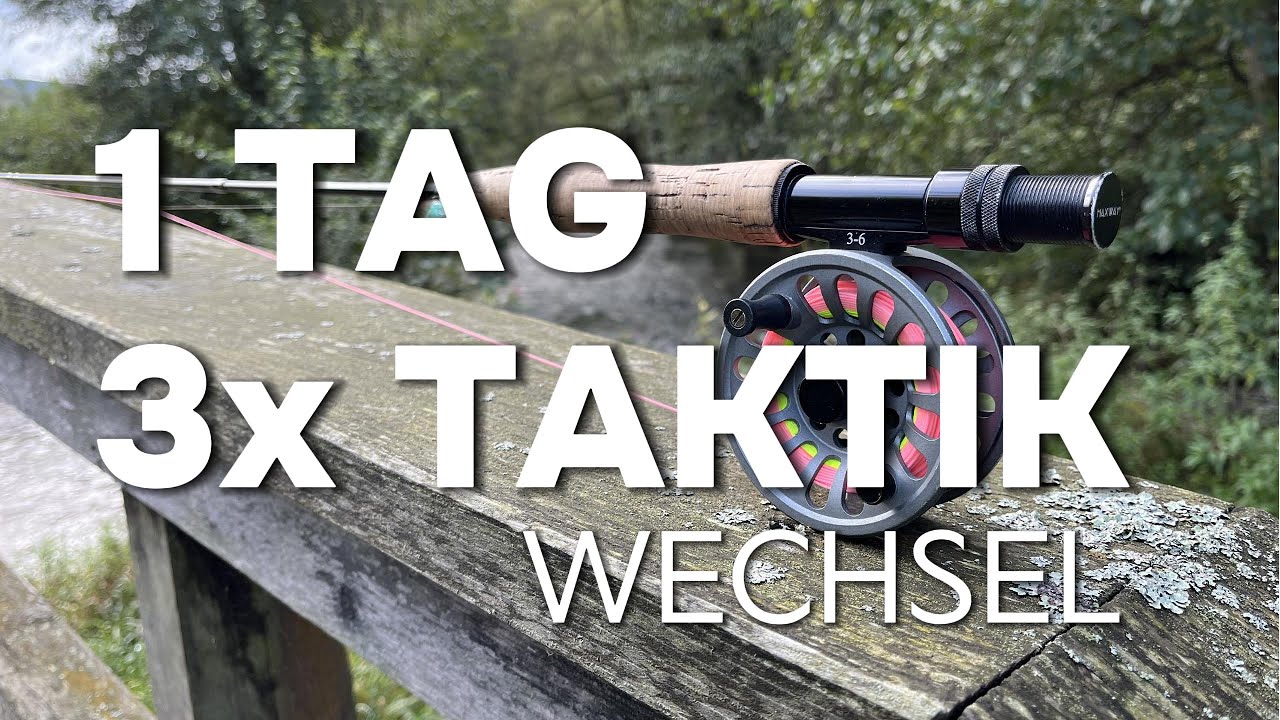 1 Tag 3x Taktikwechsel / Fliegenfischen mit Hindernissen #fishing #fliegenfischen #bachforelle