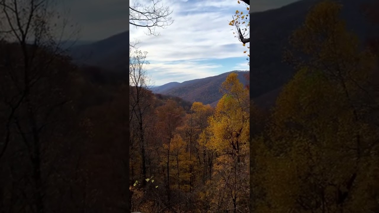 📍Frozen Head State Park 🍂Wartburg,TN