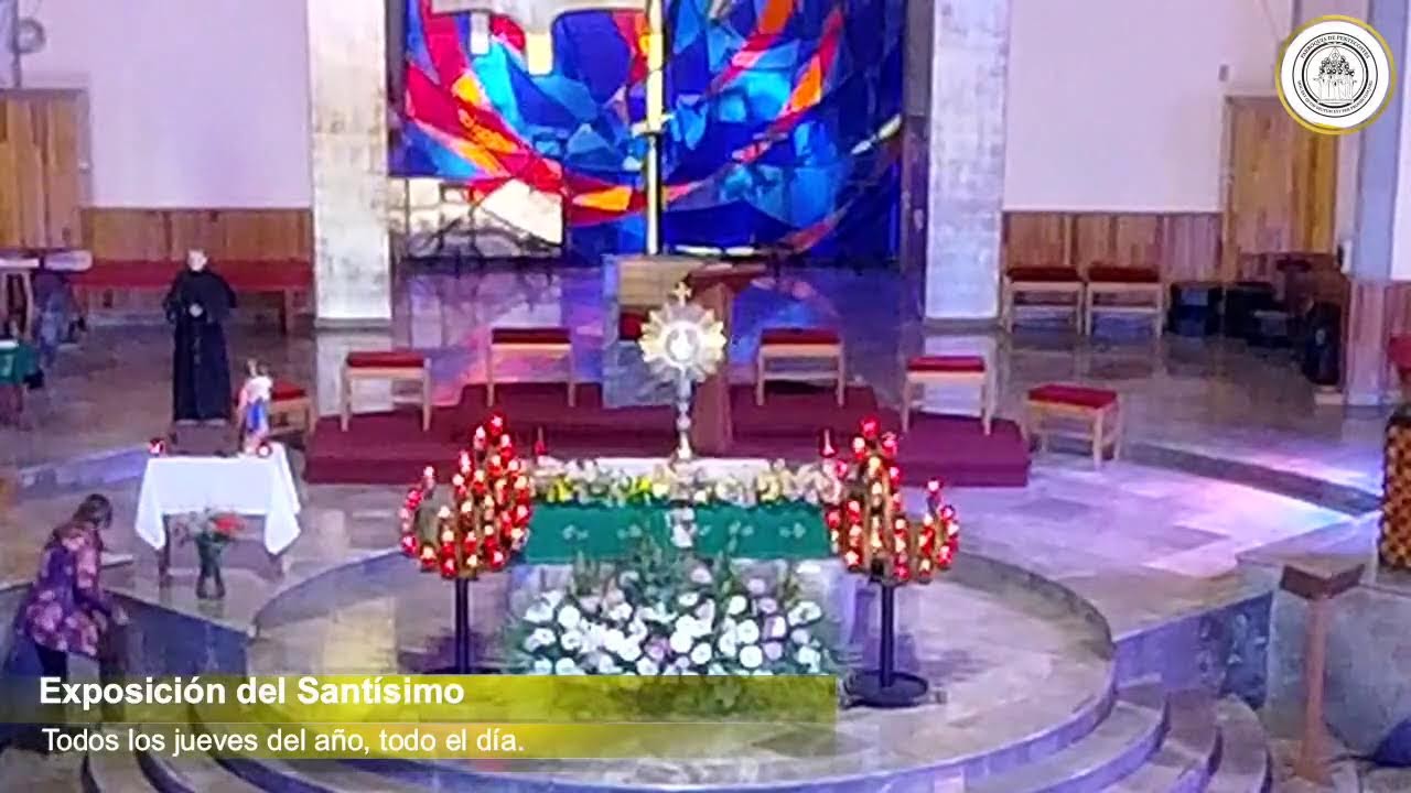 Santa Misa Jueves. Por las vocaciones a la vida religiosa.