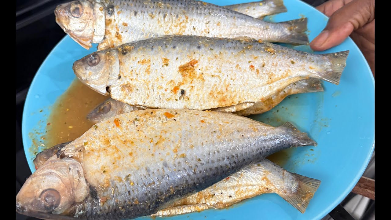 Haitian Sos Sardine fre fek sot nan lanme/ fresh Haitien Sos Sardine