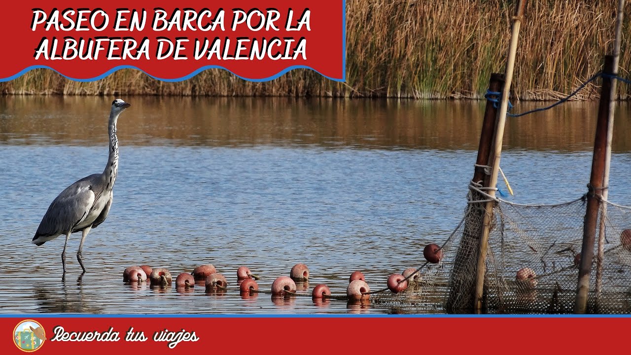 Paseo en barca por la Albufera de Valencia