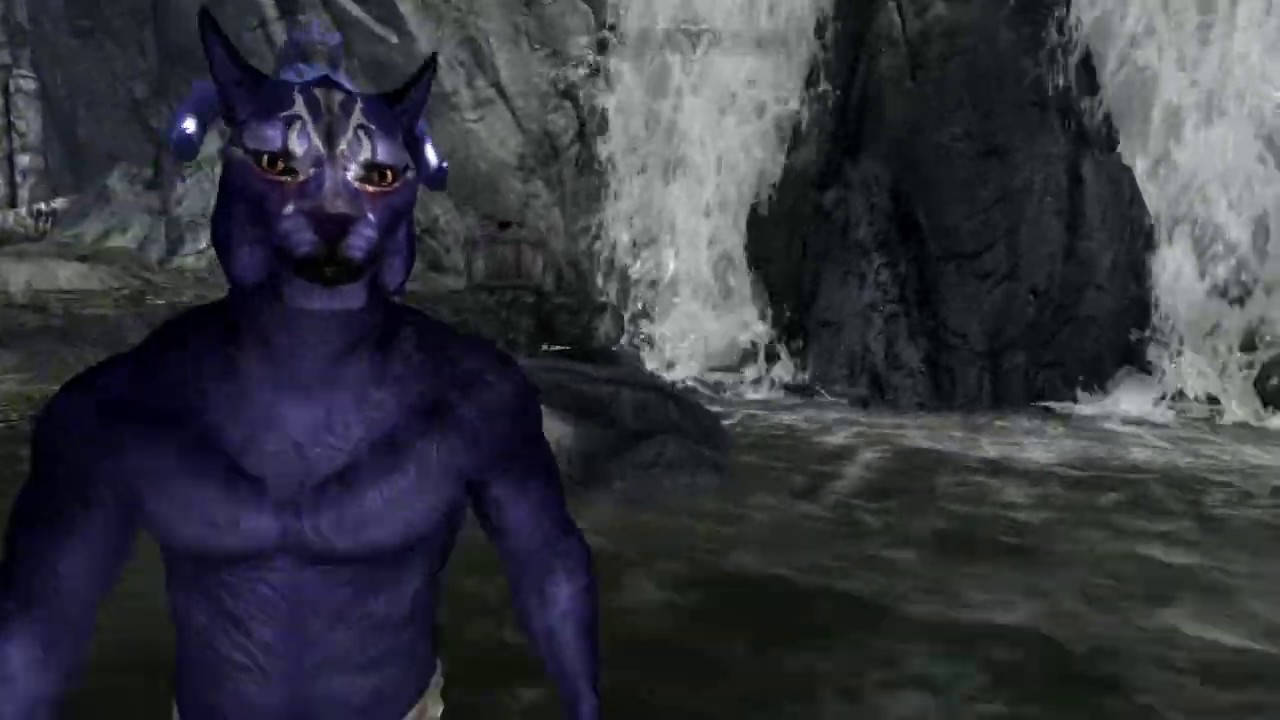The Skooma Cat saves lady