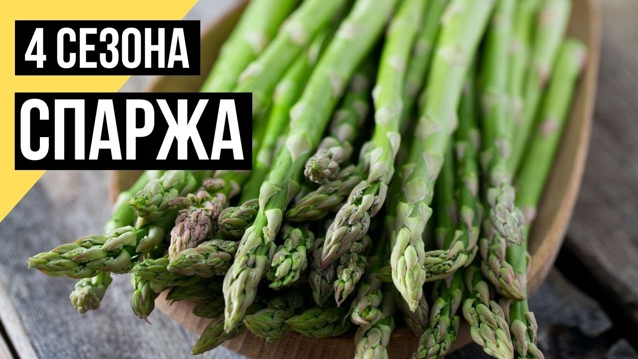 Четыре сезона. Спаржа