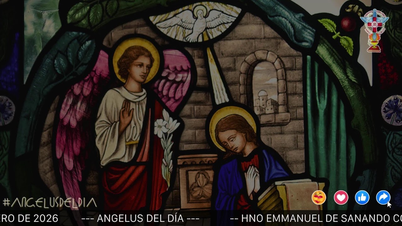 ANGELUS DEL DÍA. DOMINGO 08 DE FEBRERO DE 2026
