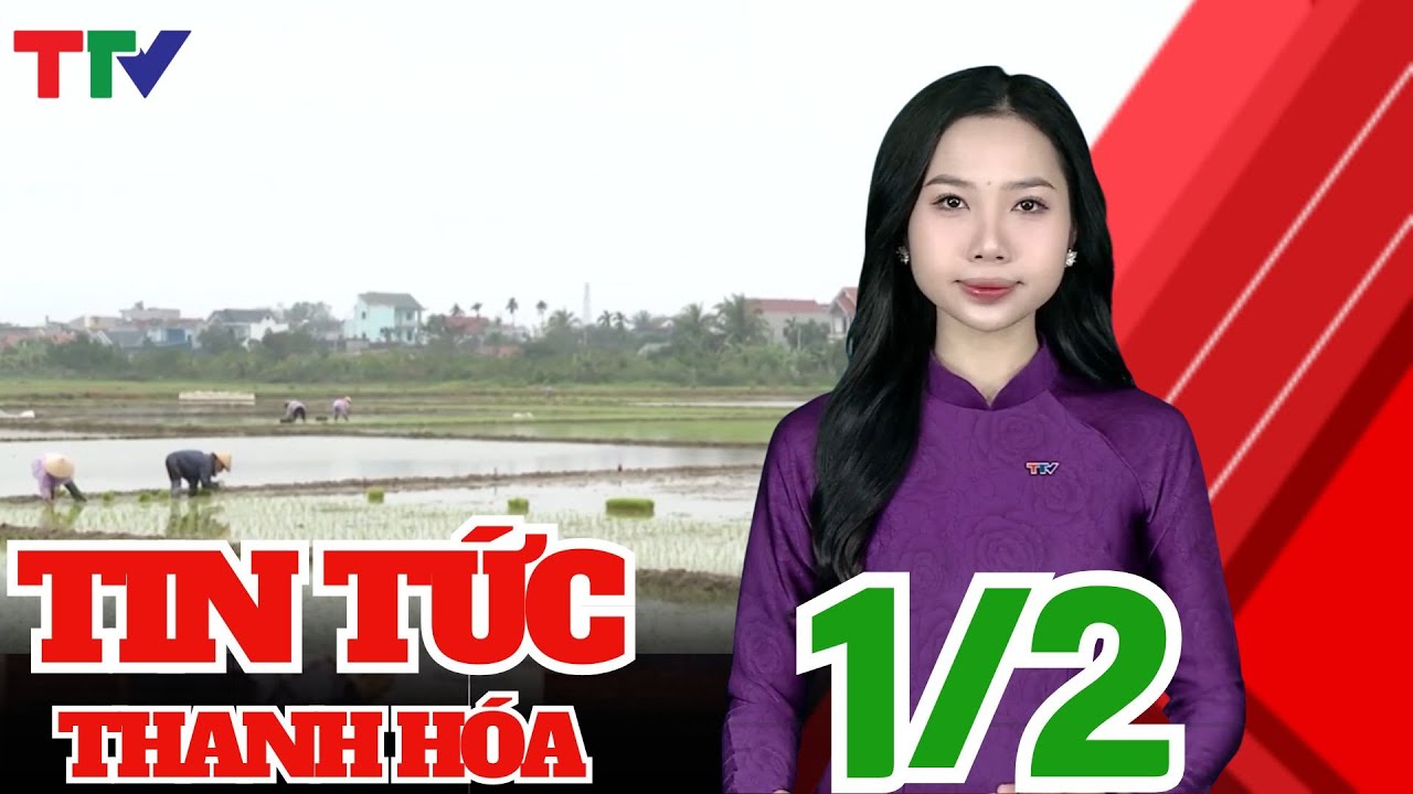 Thanh Hóa gieo cấy được gần 40% diện tích lúa Xuân