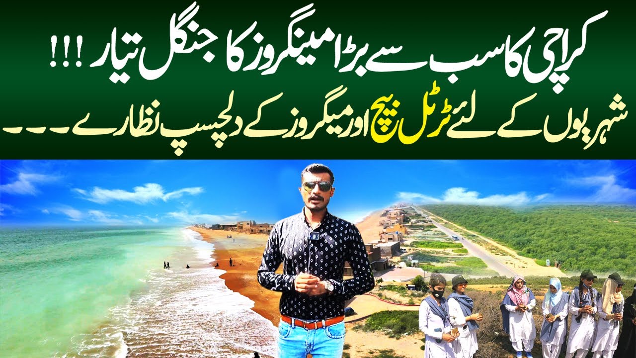 Biggest Mangroves Plants at Sandspit || WWF Climate Change Awareness Drive