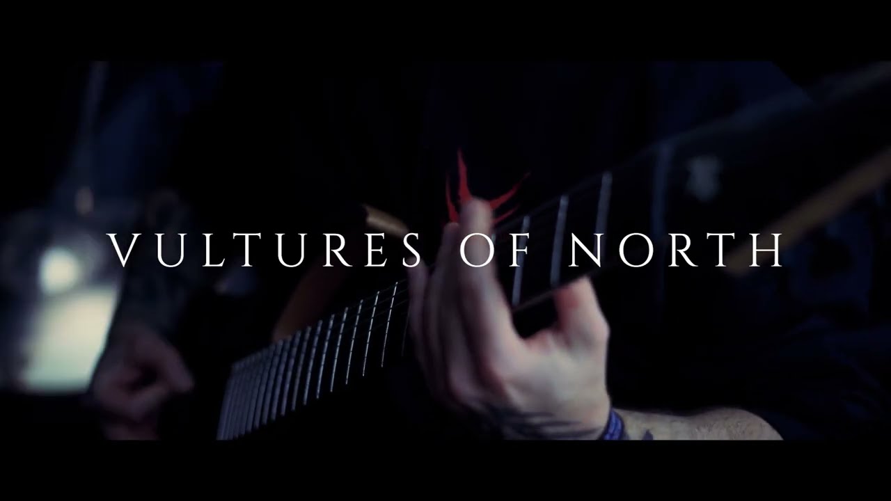 Orbit Culture - Vultures of North (Guitar Cover)