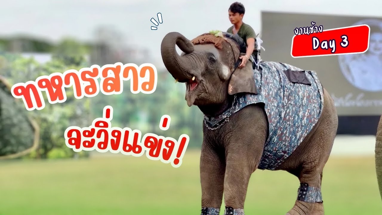 นาโนวิ่งเเข็ง❣️