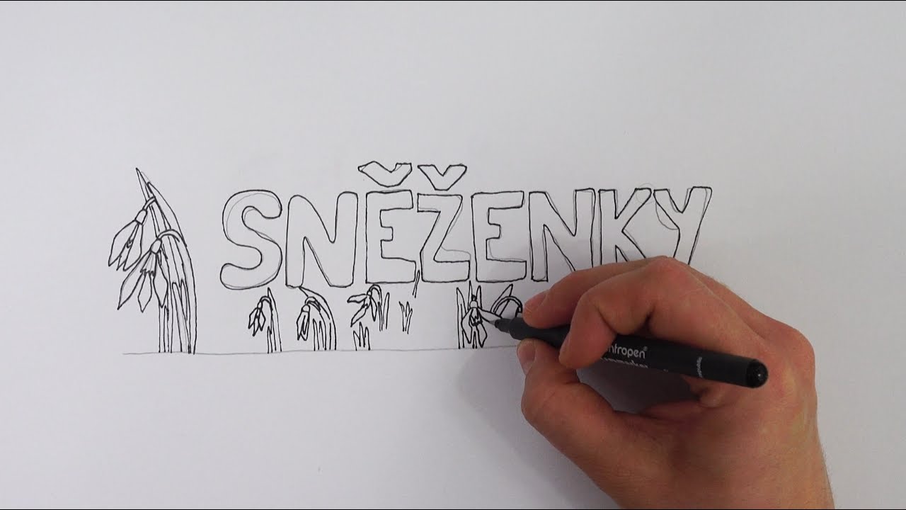 Pavel Mucha - Sněženky