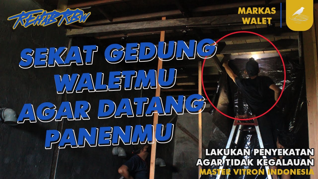 REHAB GEDUNG WALET SAMUDA UNTUK MENINGKATKAN JUMLAH SARANG WALET DAN POPULASI (EPS.02) LANTAI 5