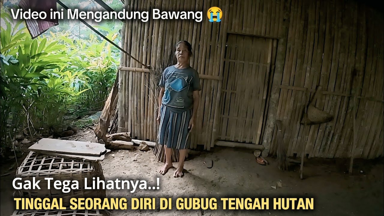 GAK TEGA LIHATNYA !! SEORANG NENEK TINGGAL SENDIRI DI GUBUG TENGAH HUTAN