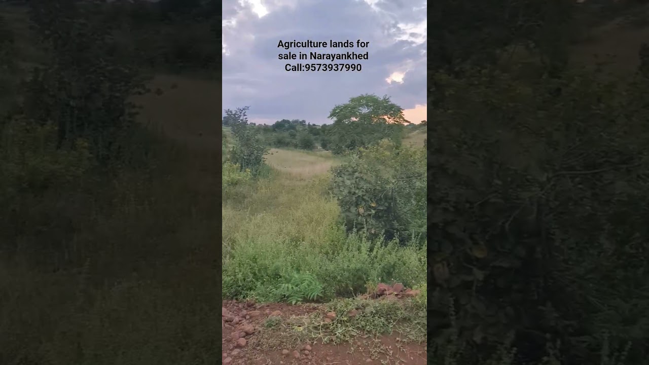Agriculture lands for sale in Narayankhed Call:9573937990 #property #farming #realestate #plots