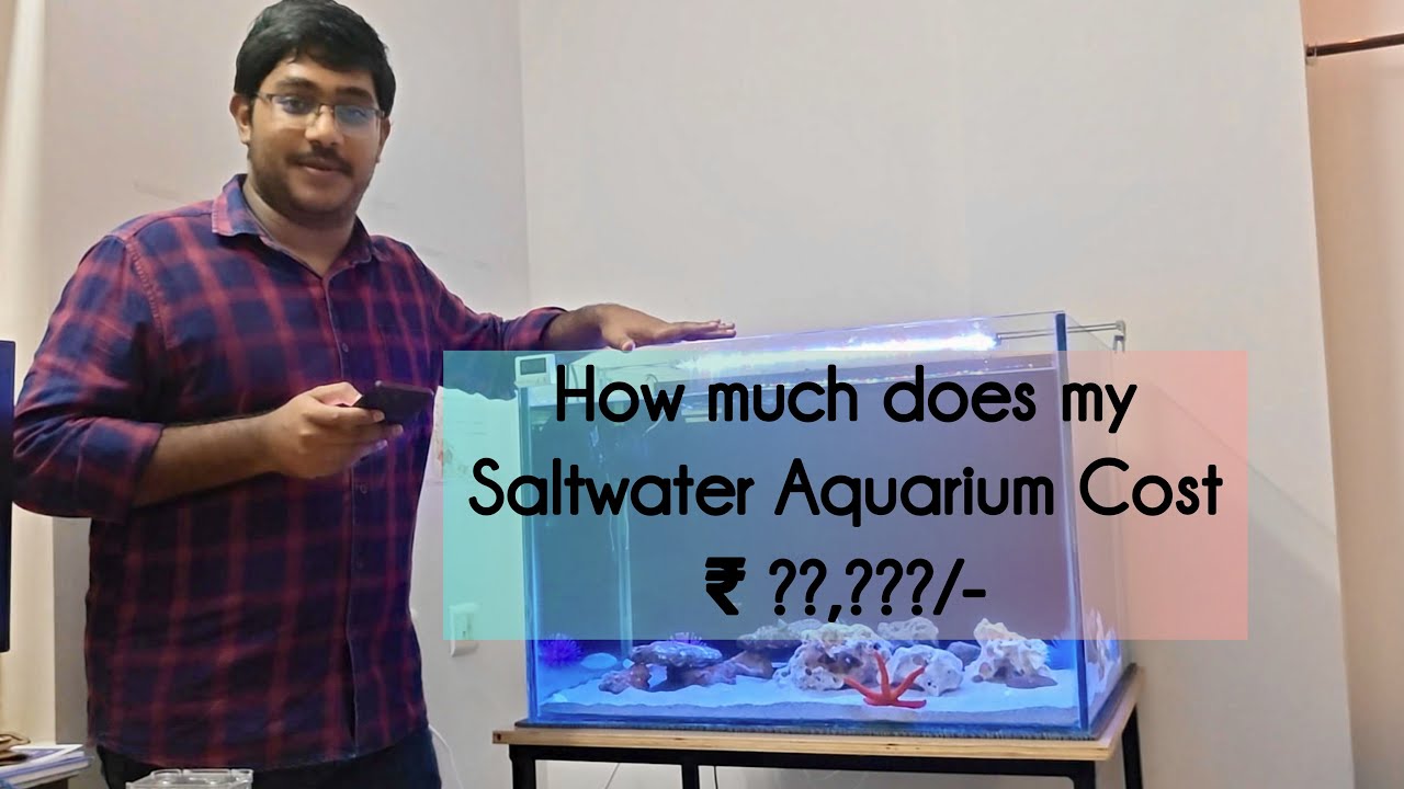 Ep:5 - How to Set-Up Marine Aquarium With Cost Efficiency | Overall Cost of My Saltwater Aquarium🌊🐠🪸