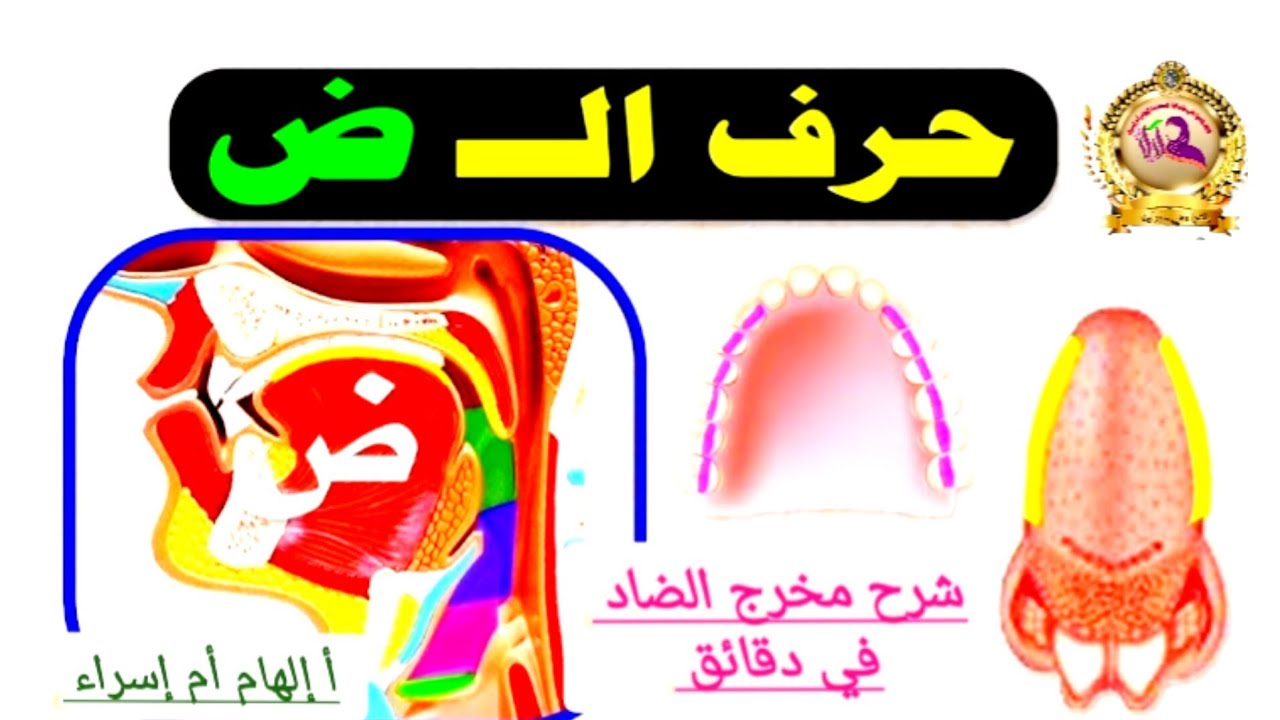 أسهل شرح مختصر ومبسط في دقائق لحرف الضاد والنطق السليم لحرف الضامع ذكر الأخطاء الشائعة حصة تطبيقية