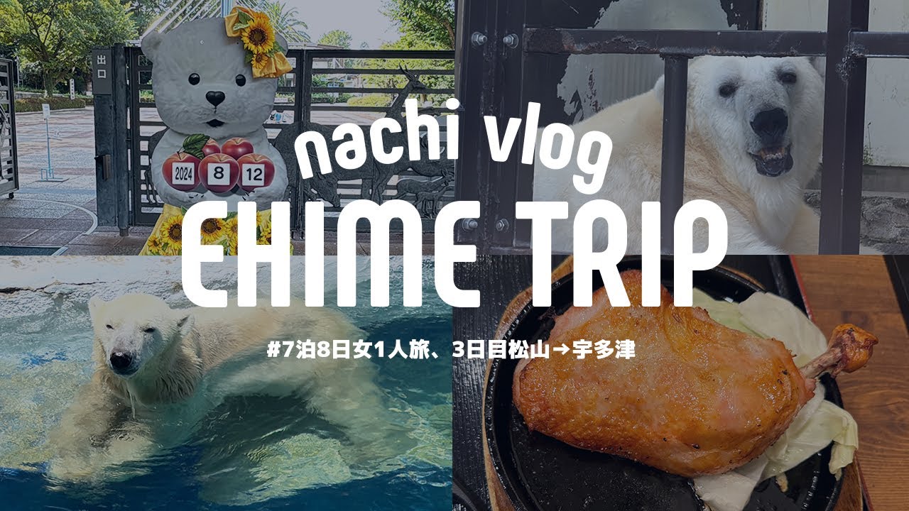〈 ③女1人旅7泊8日の夏休み 〉初めての四国 / とべ動物園でホッキョクグマのピースに会う / 青春18きっぷで愛媛から香川に移動する〈 動物園巡り 〉