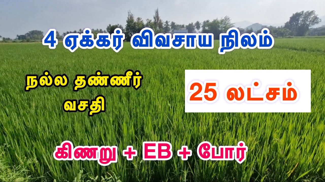 ID-801 🌴நல்ல தண்ணீர் வசதியுடன் விவசாய நிலம் விற்பனைக்கு #trending #agriculture #farmland #farming