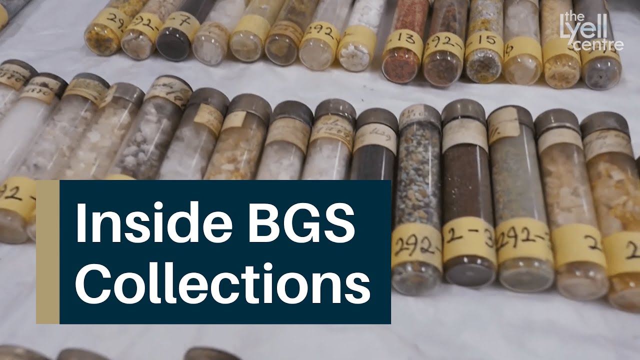 Doors Open Day at the Lyell Centre - Collections