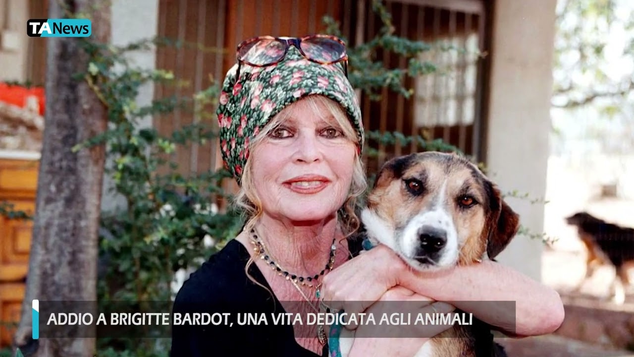 Addio a Brigitte Bardot, da star mondiale del cinema ad attivista per gli animali