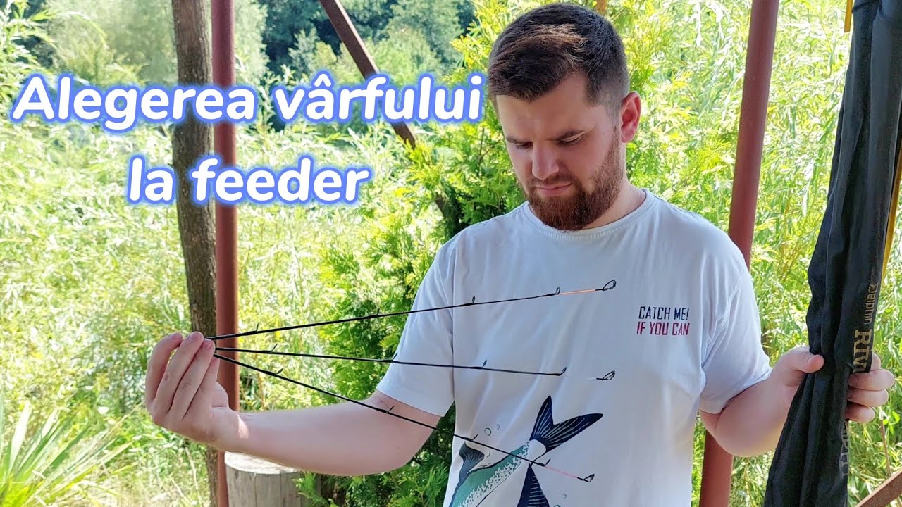 Cum alegem CORECT v&acirc;rfurile la feeder ? SFATURI in functie de anotimp sau diferite situatii