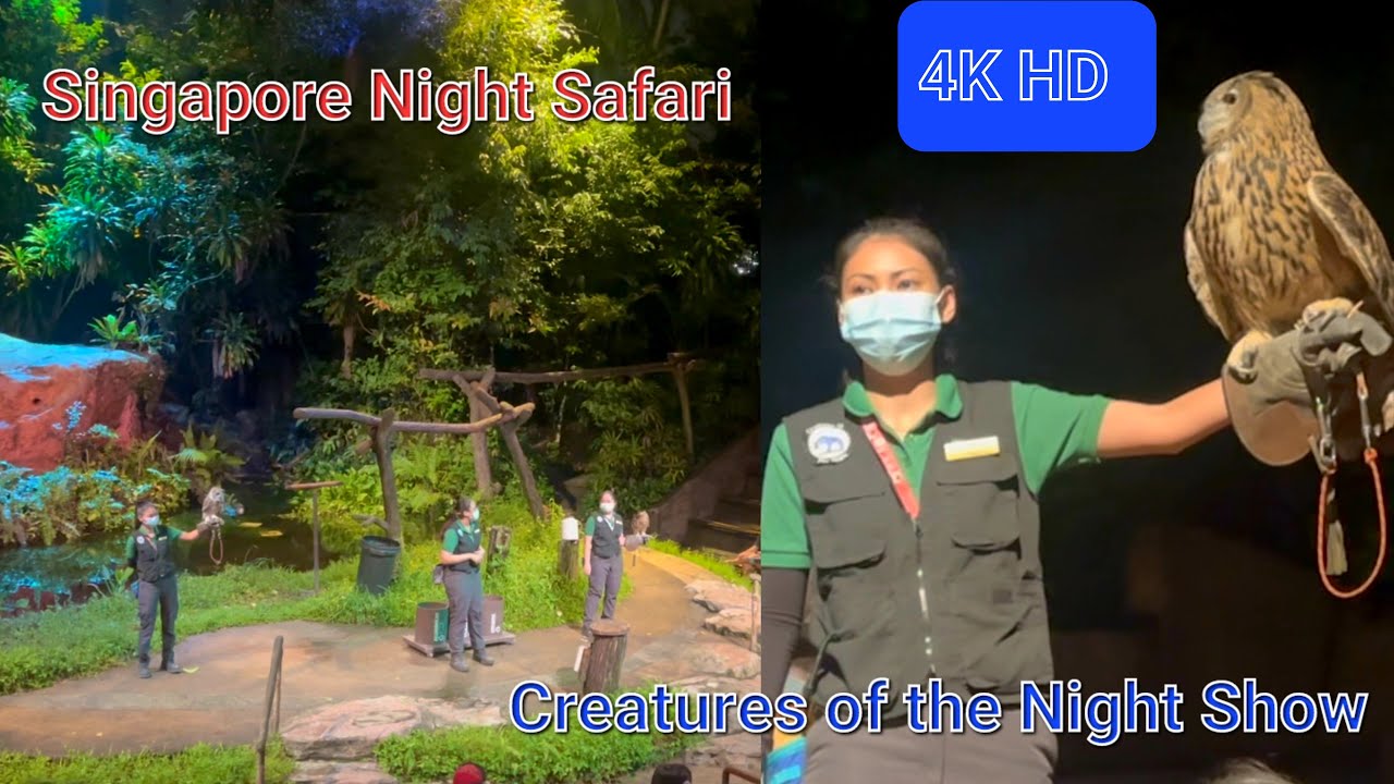 Singapore Night Safari | Creatures of The Night Show | 2022 | 4K Ultra HD |