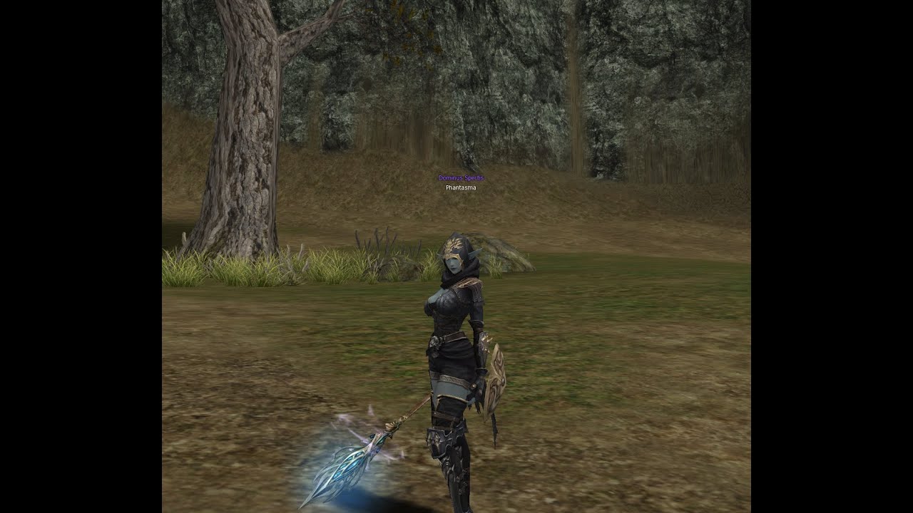 The book hunting pt2 + some exp Timak Outpost.  /Lineage 2 Reborn. Signature C5.