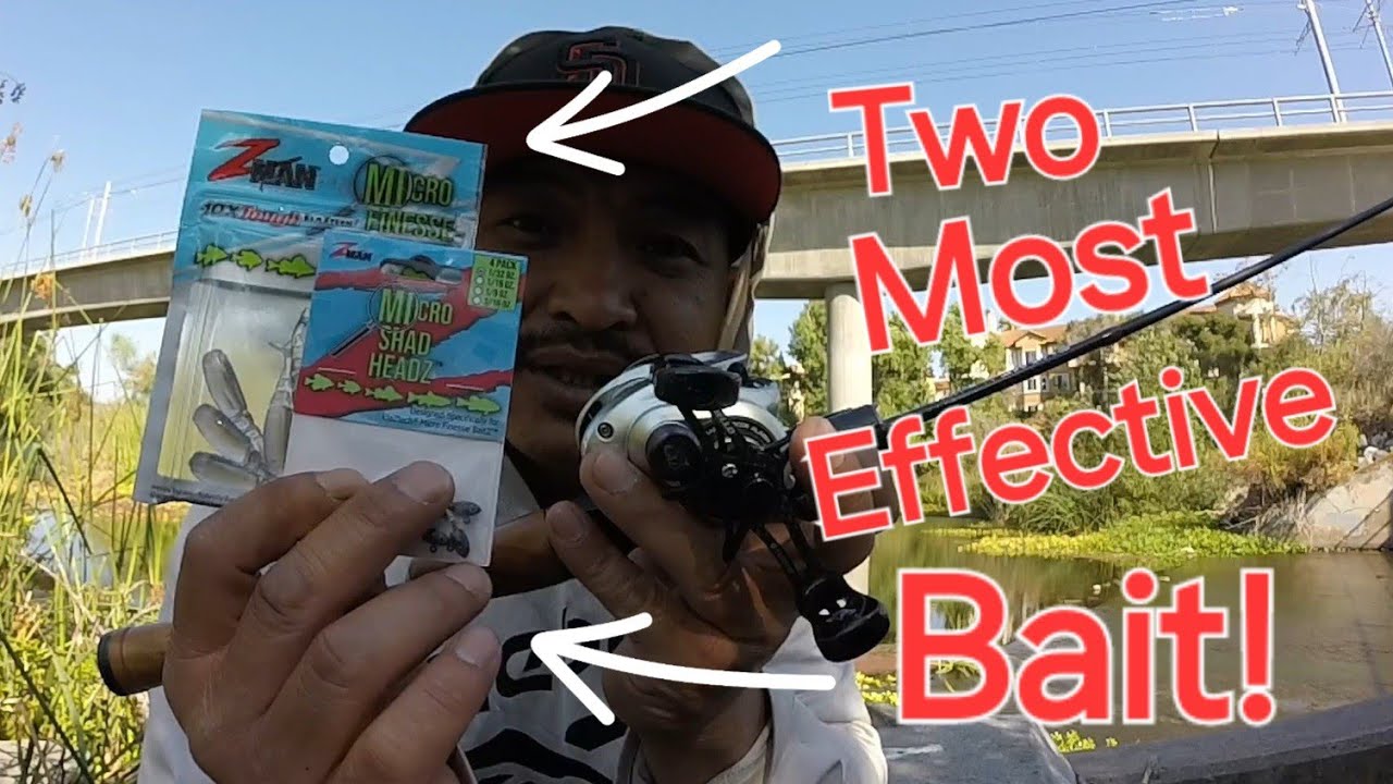 San Diego River bfs fishing: Staple Center! Try these Baits! Guaranteed a Catch!