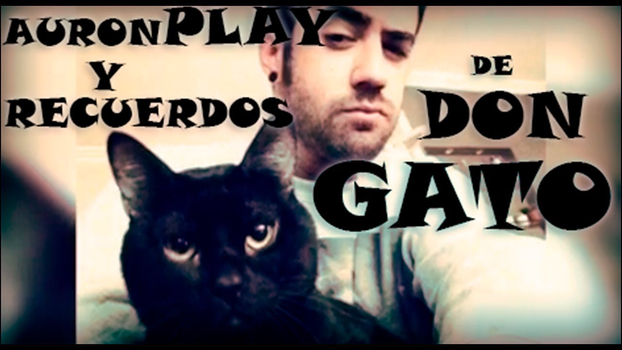 Auronplay y don gato (momentos)