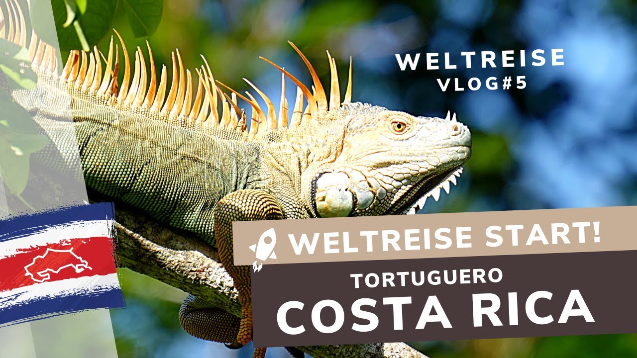 Weltreise Start! Wir sind in Tortuguero | Costa Rica