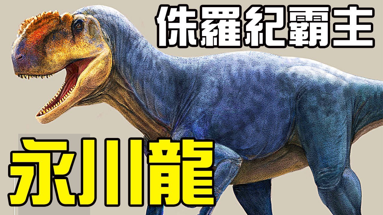 出土自四川的巨型侏羅紀霸主，永川龍丨真正的侏羅紀世界就在四川丨中棘龍丨獸腳類13丨恐龍時代