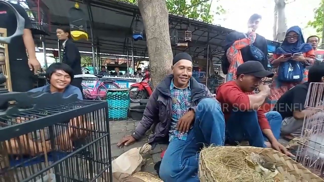 Jika di sini hutang terasa lunas pasar burung tradisonal jawa