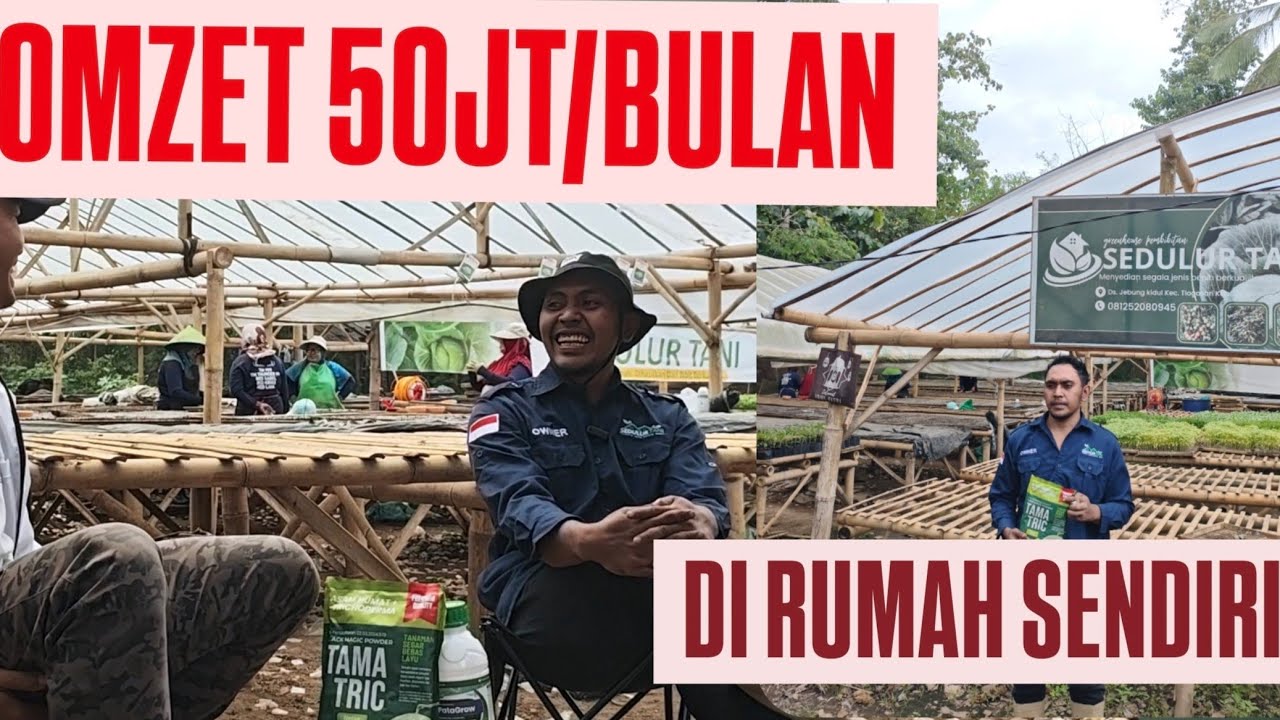 SADAR POTENSI CUAN RUMAH SENDIRI | IDHAM PEMBIBITAN JEBUNG