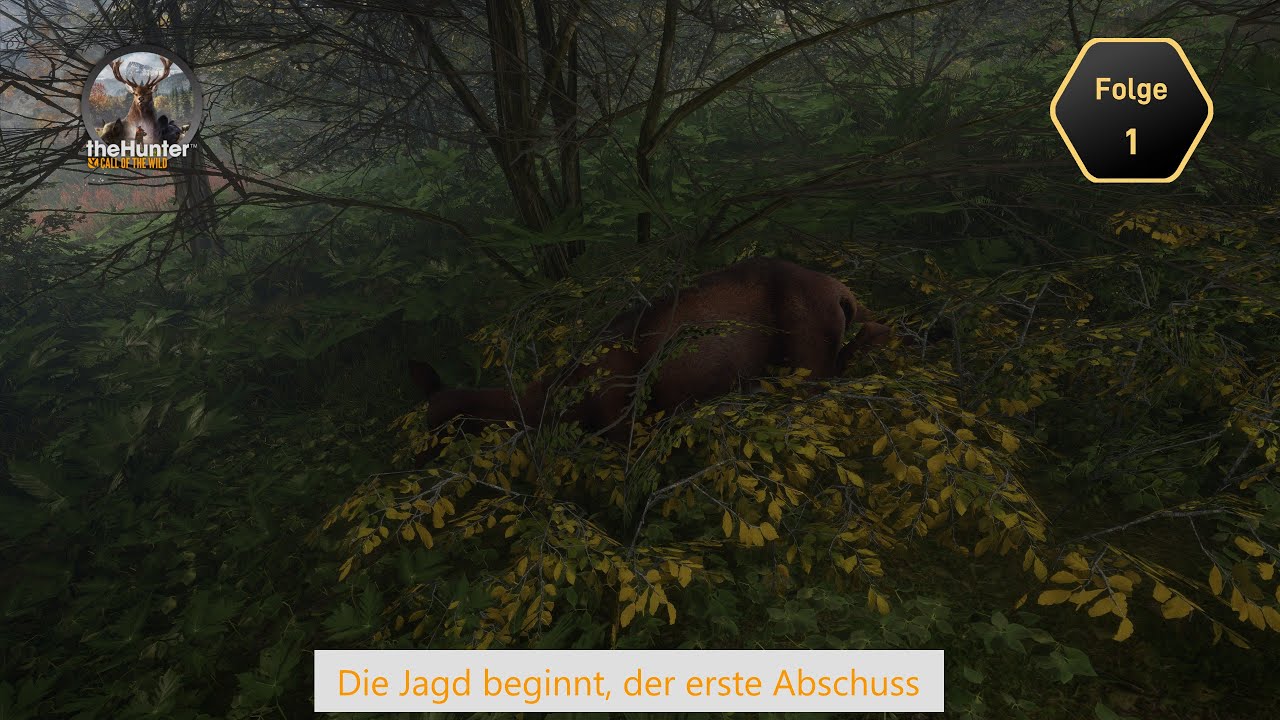 The Hunter - Call of the Wild | Deutsch | #1 | Die Jagd beginnt, der erste Abschuss