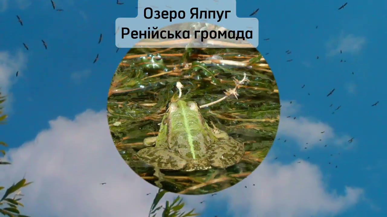 Озеро Ялпуг 