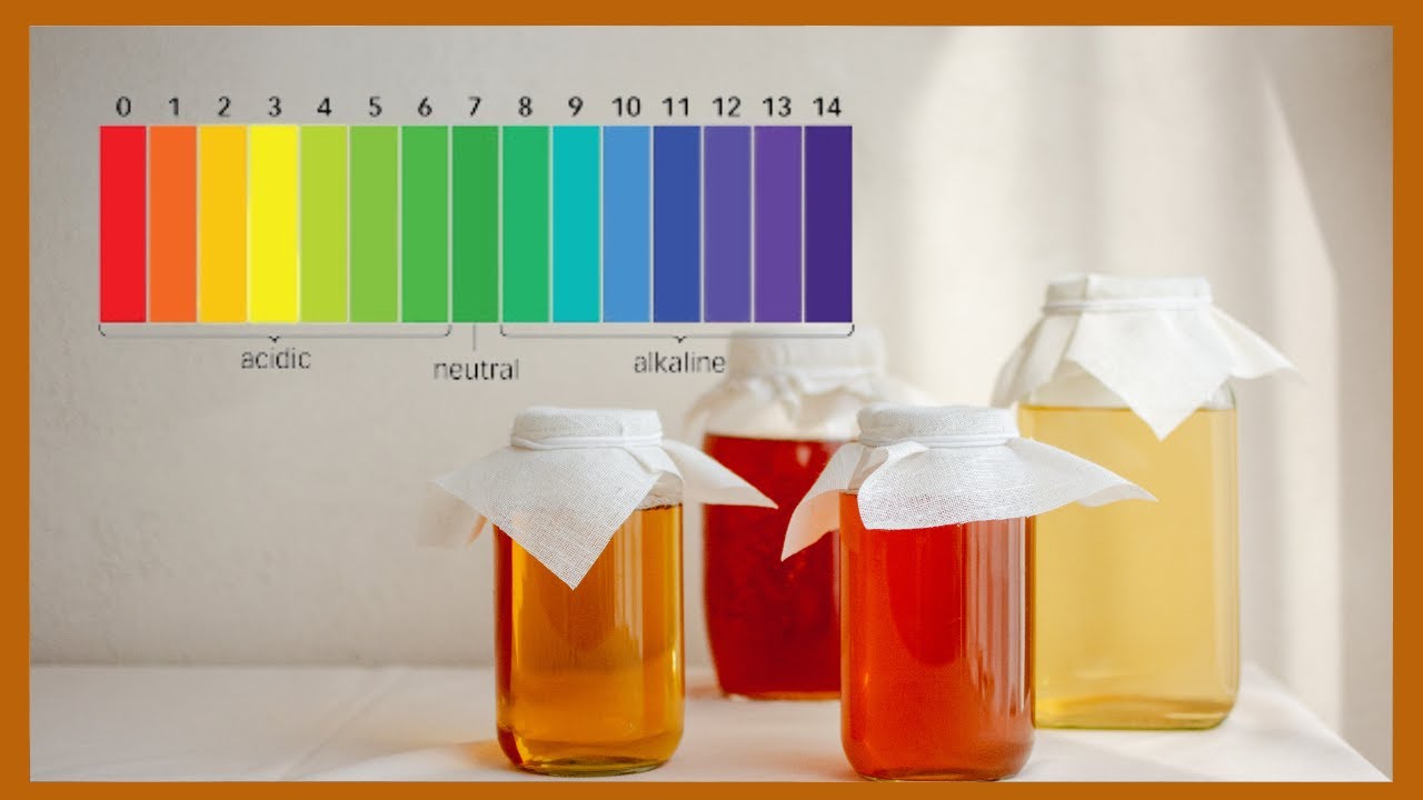 What is the BEST pH to drink KOMBUCHA
