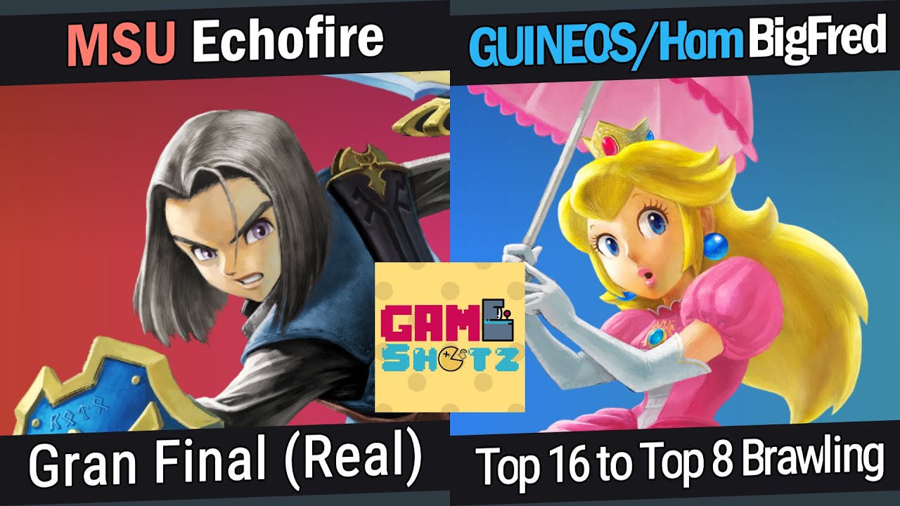 BIGFRED VS ECHOFIRE GRAND FINALS | BACK TO BRAWLING #4 | GAMESHOTZ