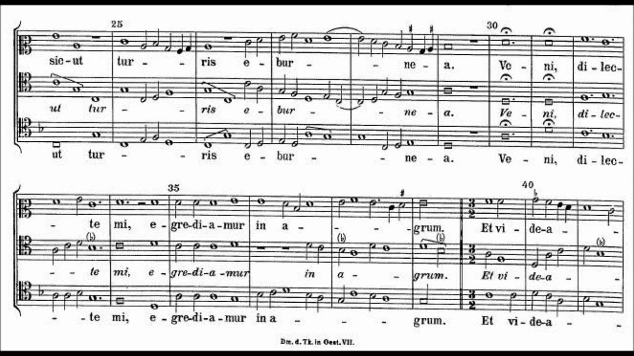 Dunstable: Quam pulchra es