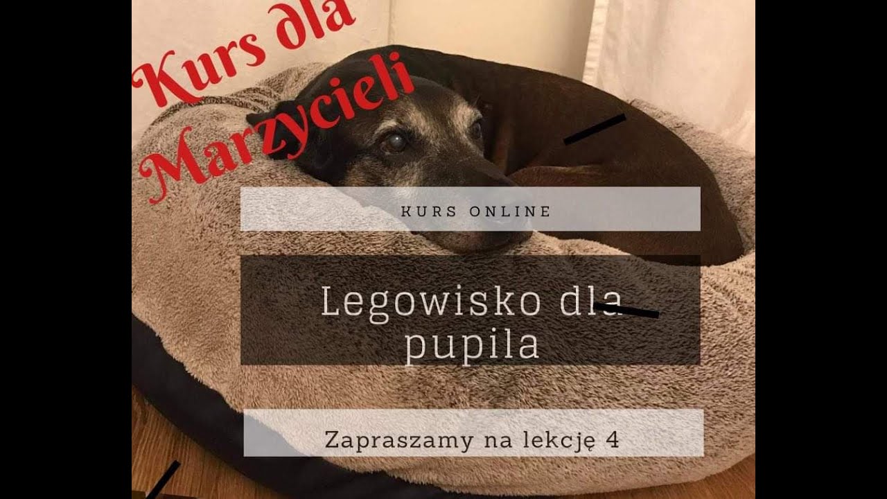 Zerowy stopień, Lekcja 4 