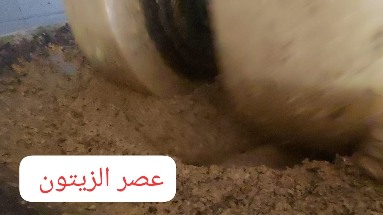 يوم بمعصرة الزيتون ، عصر بطريقة تقليدية ديال جدودنا🫒🫒🫒👍👍👍
