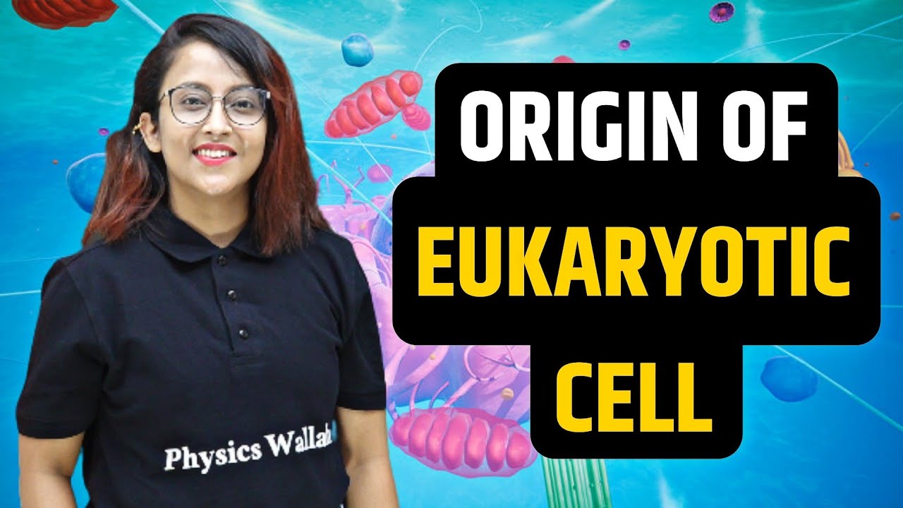 ORIGIN OF EUKARYOTIC CELL
