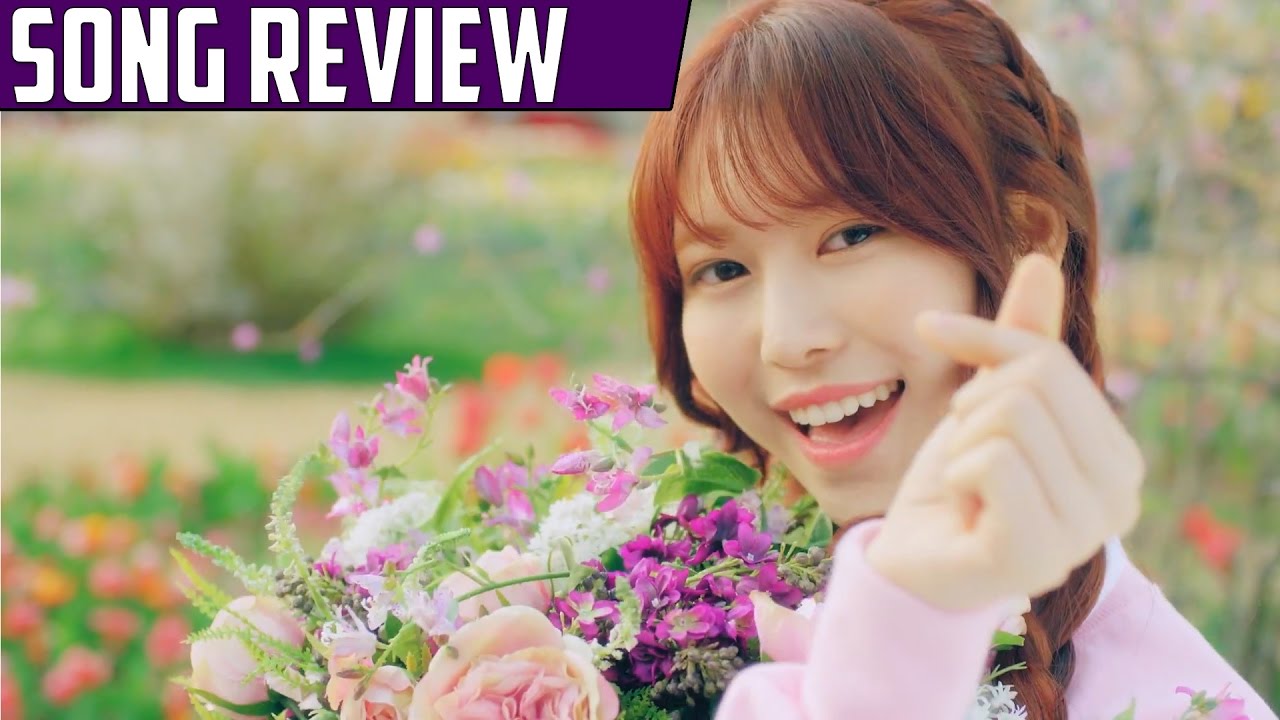Momoland - Wonderful Love Song Review