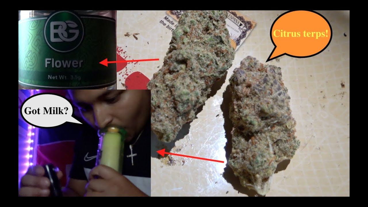 Bedford Grow: *Orange Whip* Strain Review