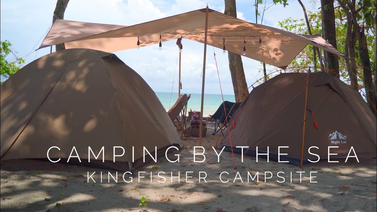 Vlog 50 | ASMR Camping by the Beach | NIGHT CAT | KOPPY.My | Kingfisher Campsite