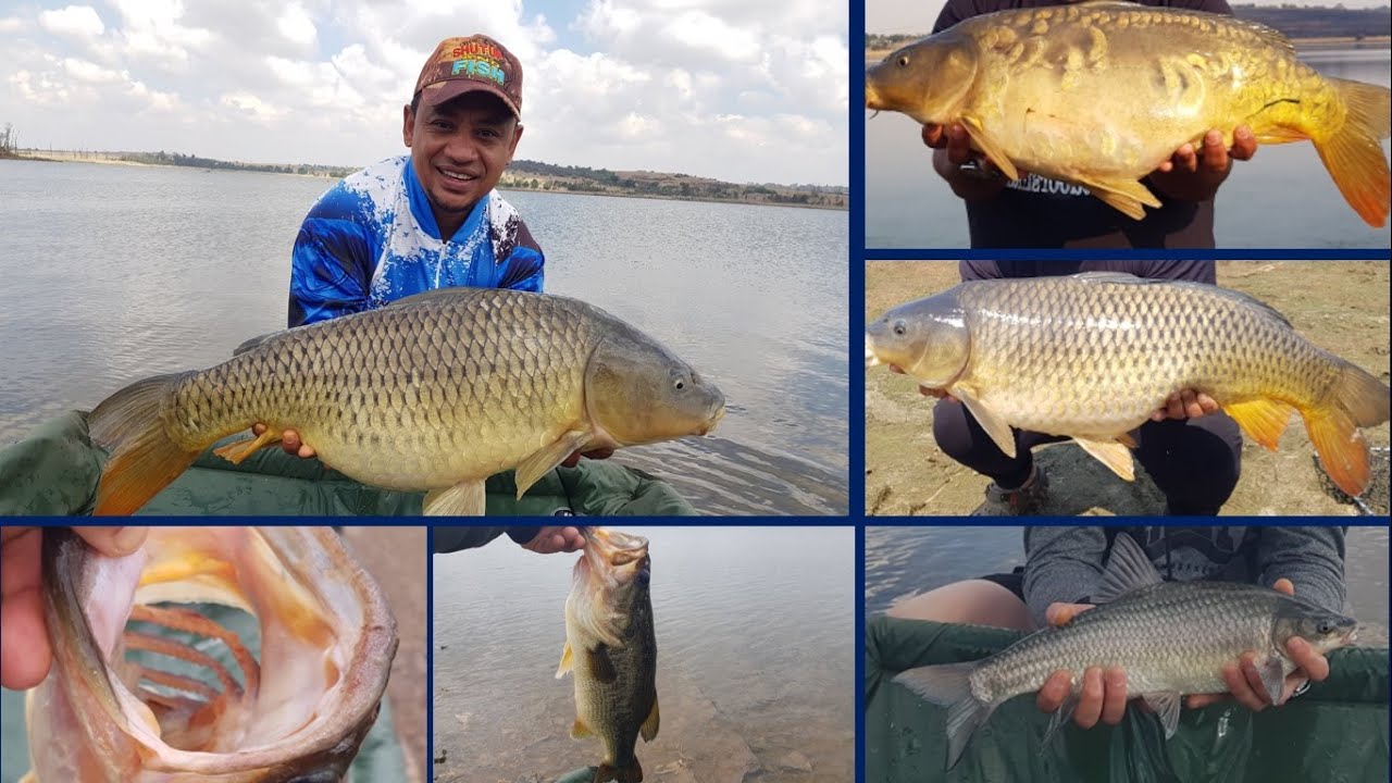Bass and carp fishing at Rietvlei Dam