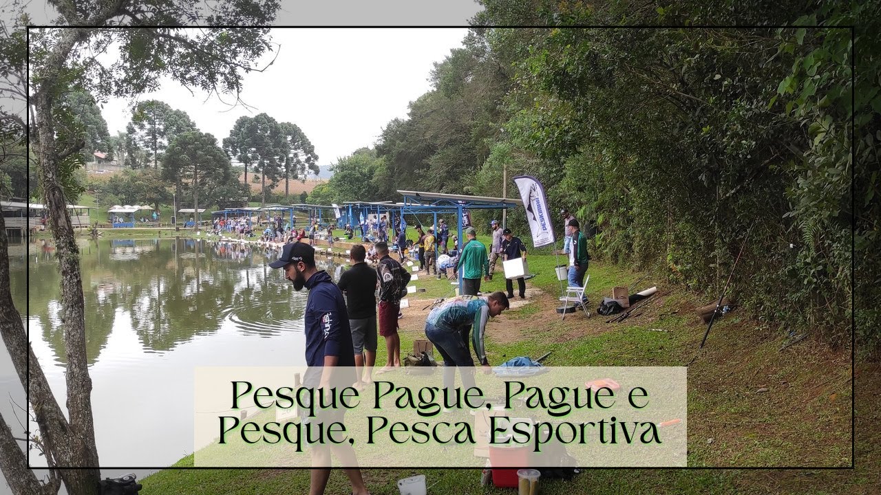 PESQUE PAGUE, OU PAGUE E PESQUE OU PESCA ESPORTIVA? As modalidades de PESQUEIROS