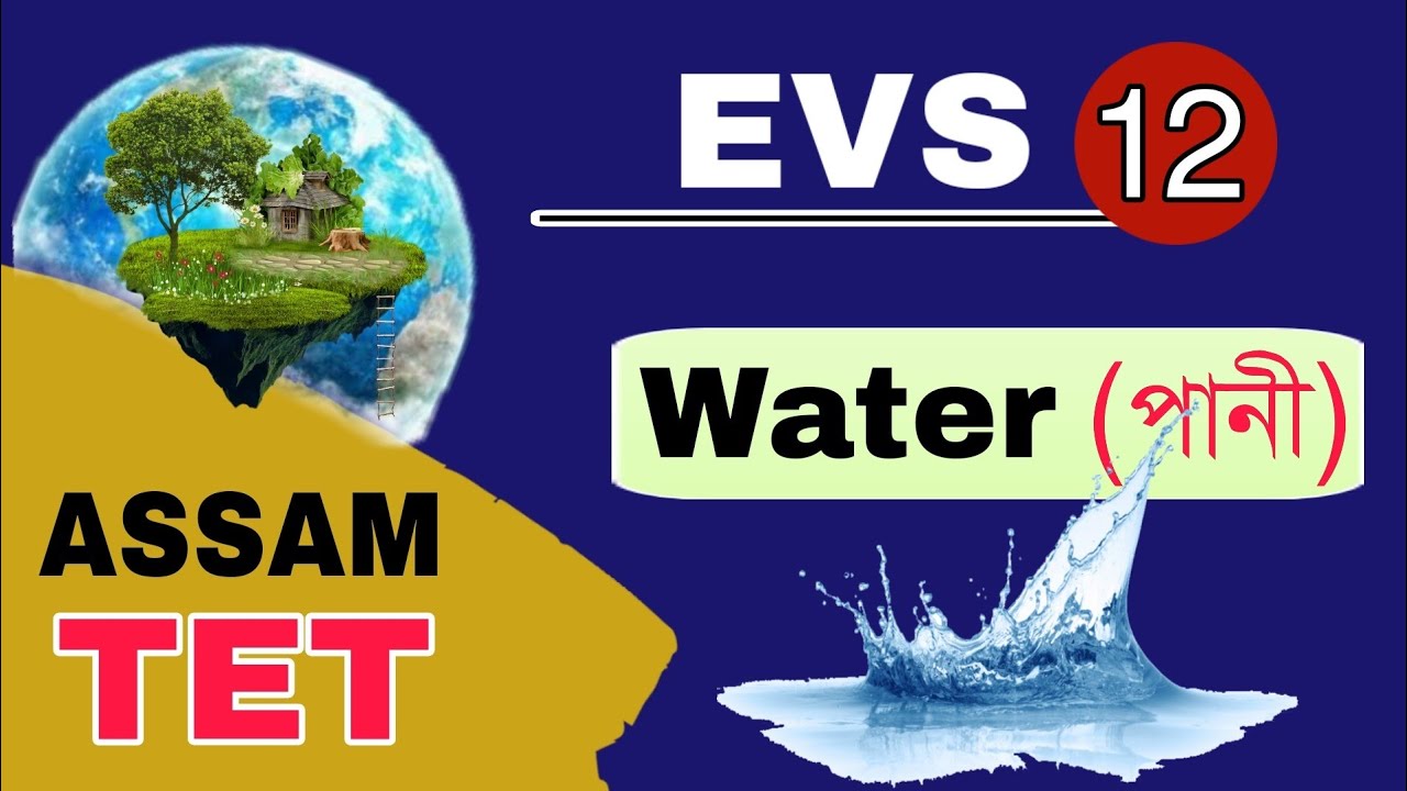 Assam TET 2021 || Water- Importance, Sources, Uses || Environmental Studies || Video 12